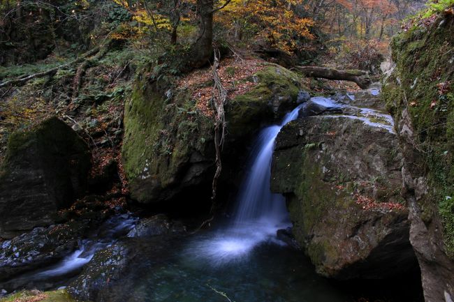 ◇禁断の戸草川渓谷・みちのく最後の紅葉/ 魚止め滝＆安行滝編