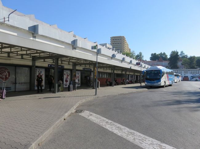 階段をのぼるとこんな感じのところにでてきました。よかった、迷子になるところだった。