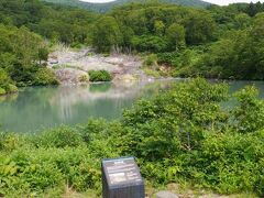 こちら、酸ヶ湯温泉から約５００メートルのところにある地獄沼である。
緑がかった色の水面が特徴的だ。