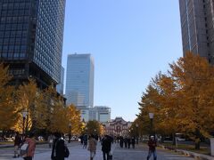 東京駅丸の内口から皇居までの道は銀杏並木。 
丸の内も「丸ビル」こと丸の内ビルも新しくなり、国鉄本社も無くなって丸の内オアゾになるなど、ずいぶん変わったものです。 