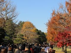 今回開放された乾門通はちょうど紅葉の時期。 
多くの人が紅葉を楽しんでいました。 