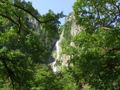 翌朝、黒岳方面に向かいます。

その手前、層雲峡を通るついでに、銀河、流星の滝を見学
写真は銀河の滝です。
断崖絶壁を幾筋も細く流れる、たおやかな姿がいいですね。