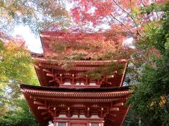 浄瑠璃寺　三重塔