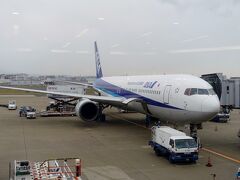 11/22の旅行はここからスタートします。
朝早く神戸の三宮より空港バスで伊丹空港へ向かいました。
伊丹よりＡＮＡ４２１便(８:００発）で福岡空港へ飛びました。