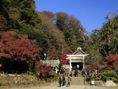 我が家から歩くこと40分、鎌倉宮にやってきました。
雲一つない晴天、風もなく絶好の紅葉狩り日和です。