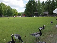 スカンセンに到着。広ーいです。
建築物などはスルー気味に、主に動物を見て回って過ごしました。