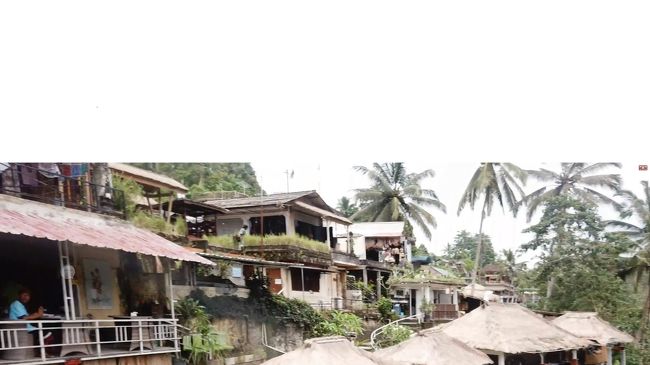 谷の上空で旋回中