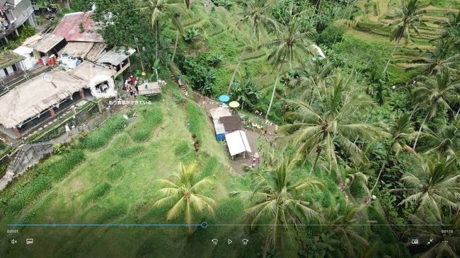 左の印した所で食事しました。表紙の写真を撮った所。