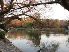 そして鶴岡八幡宮まで戻ってきた時にはだいぶ陽が傾いていました。
家を出てから戻るまで、わずか４時間の超ショートトリップでしたが、やっぱり獅子舞はすごかった！以前より訪れる人が増えて「ひっそりとした雑木林」ではなくなっていましたが、真っ赤に染まった森は秋の鎌倉のお勧めスポットのひとつです。