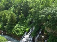 この池の少し上流にある白ひげの滝
ここの川も青く、それが青い池の水になっています。

さてなぜここだけ青く水が見えるのか。
化学のお勉強になります。wikより抜粋
付近の湧水には水酸化アルミニウムなど、主に白色系の微粒子が含まれており、美瑛川本流の水と混ざることによって分散され一種のコロイドが生成される。水中に差し込んだ太陽光がコロイドの粒子と衝突散乱して水の吸収による青色の透過光が加わり、美しい青色に見えると言われている。

・・・だそうです。

ではなぜこの湧き水だけ水酸化アルミニウムなど、白色系の微粒子が含まれているのでしょうか？という疑問もわきますが…

旭岳、青い池編は以上です。