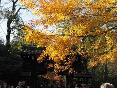 嵯峨野　常寂光寺　山門前の紅葉

山門は江戸後期に作り変えられたもので、その前は土塀をめぐらした薬師門だったそうです。