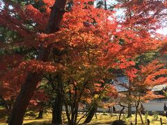 やはり捨てがたいので南禅寺。１０月中旬で7分くらい。