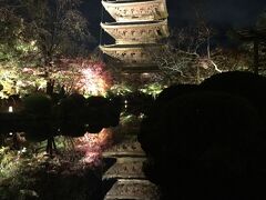 こちらが今年の「そうだ京都へいこう」の東寺。
３０分前に到着すると長蛇の列。でも係の方のおっしゃる通り、門が空いたらあっという間に中に入れました。並ぶ必要もないかな、今度は晩御飯食べてから来てもよいかも！
