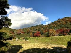 その後修学院離宮の見学です。
この時期は紅葉が美しいのでなかなか予約が取れないそうです。
たまたま当日並んだら入ることができました！ラッキーです！