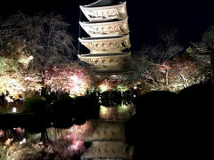 夜は東寺のライトアップに行きました
息をのむほど美しいです。