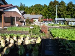 畑の真ん中に不破関庁舎跡と兜掛石・沓脱石という石がありました。その名の通り、大海人皇子が兜を外してかけた石と靴を脱いだ時に足をかけた石だそうです。写真は沓脱石です。