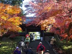 北鎌倉から円覚寺

北鎌倉駅からスタートして、すぐの円覚寺前を通る。
天気も良く、絶好のハイキング日和のスタートだった。
円覚寺前の紅葉は見事だった。
