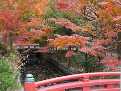 鶴岡八幡宮、鎌倉国宝館前の紅葉

ここの紅葉は今が見ごろだった。