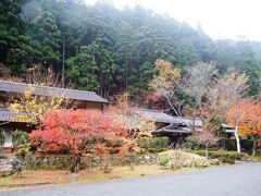 美山荘の紅葉