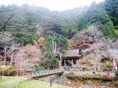 大悲山　峰定寺

久寿元年（１１５４）山岳修行者の観空西念（かんくうさいねん）により創建、山全体が山岳信仰の地となっています。