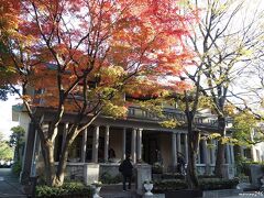 山手234番館

毎年この時期は、建物の前の紅葉が綺麗です。