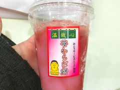 楽しい旅も終わり。美東SAでイチゴわらび餅。19時頃だったので、食事をするところは混んでて入れませんでした。
わらび餅は半分凍っていて、身体が冷えるので私は食べなかったのですが、子供たちはおいしそうに食べていました。