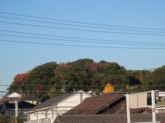 ０７４７．日曜。電車を待つところから旅の始まり。一本のイチョウが鮮やか。