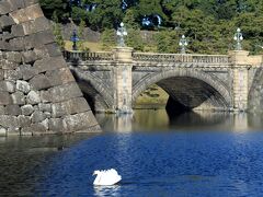 正門石橋と白鳥