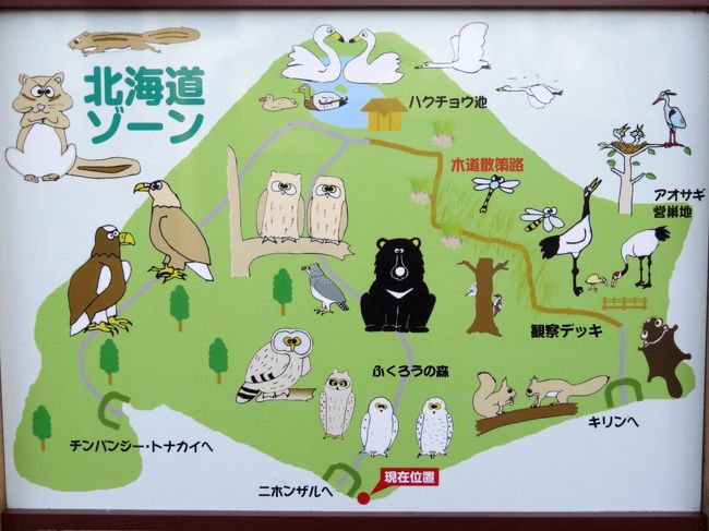 ２度目の北海道レッサーパンダ遠征は３都市４泊４日 ７ 釧路市動物園 後編 本日唯一だったぱくぱくタイムのホッキョクグマのキロルくんと檻の展示場に入ってからが楽しかったミルクちゃん エゾヒグマのヤマトくんはお休みでエサやりできなかったけどキュートで