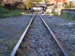 この後、琵琶湖疏水記念館を見学し(紅葉とは関係ナイので、後程クチコミだけ追加するつもりです)、琵琶湖の水と京都の人々の生活のつながりを学んだ後、インクラインを歩いて蹴上駅に戻りました。

春はこの場所は桜がとってもキレイだそうですね!　