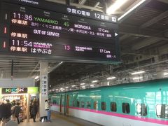 やまびこ45号は定刻通り仙台駅に到着しました。盛岡行きのやまびこは、ほとんどの列車がE5系なんですね。