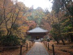 有名な瑞巌寺には入らず、円通院にやってきました。
瑞巌寺は入場料が700円ですが、円通院は300円とリーズナブルだったからです。

ちょっと遅いですが、紅葉が美しいです。