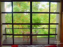 □5日目□

ビスマエイトで迎える朝♪
窓の外には、鬱蒼としたジャングル!!!

森に包まれているようなお部屋です。