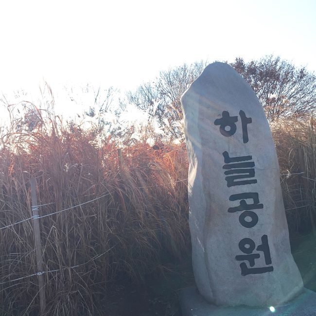 本当に行きたかったのは<br />ここ！！<br />ハヌル公園ー！！＾＾<br /><br />階段が！！！<br />多すぎるーー！<br />3000ウォン払ったら<br />オッチャンがビニールカーみたいなやつで<br />頂上まで送ってくれますが<br />歩いて上がりましたよ～<br /><br />ほんまにしんどかった！<br />途中すれ違う人たちみんな<br />えらいな！<br />えらいな！<br />しんどいなー！<br />みたいな<br />いや！おばはんか！<br /><br />辿り着いたときの達成感！