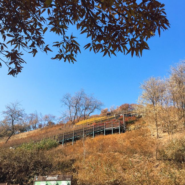 10段ずつ<br />階段に書いてあって<br />300ぐらい登った