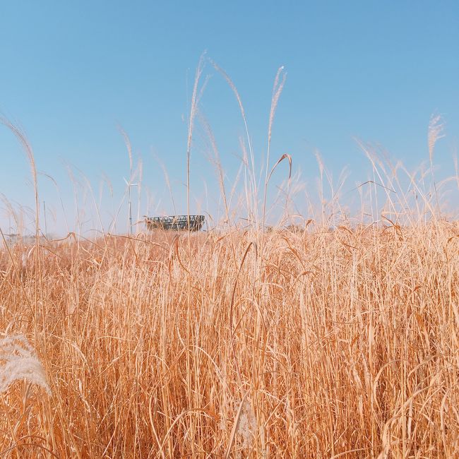 하늘공원<br />展望台~<br />素敵～♪<br /><br />聞こえてくる言語が<br />めっちゃ多国籍やった<br /><br />