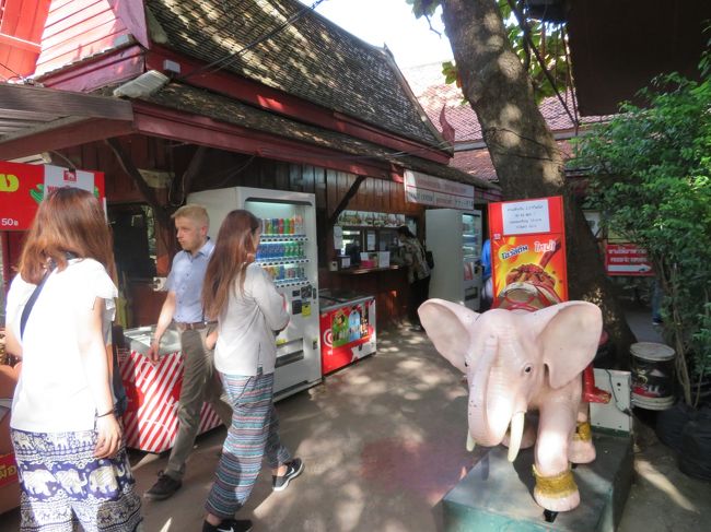 像乗り体験のチケット売り場です