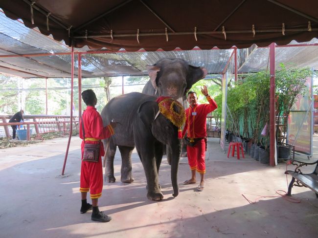 お金を出せば一緒に写真が撮れます