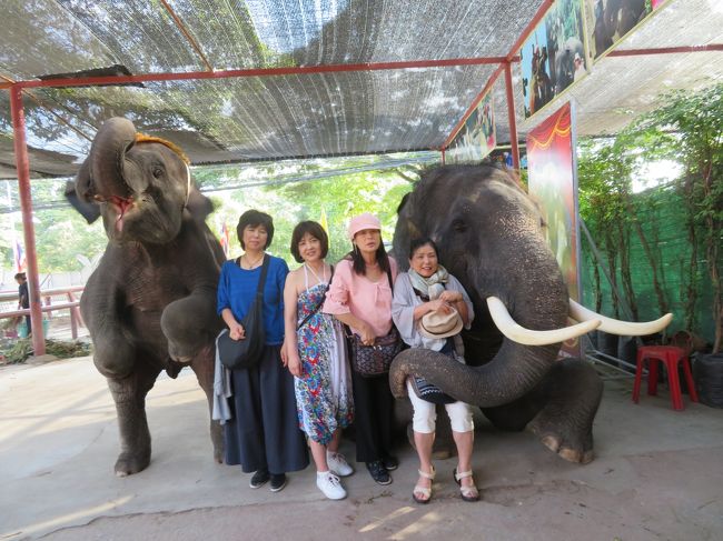 出してしまいました、もちろん…。この写真代金は付いて無いので自腹です