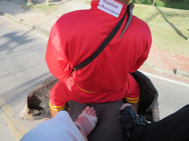 生きてる像に乗ってるって、物凄く実感できます。足元温かくてフワフワしてました