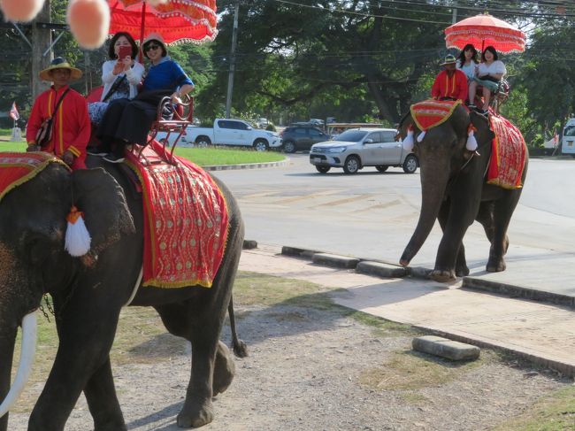 列を組んで10分位お散歩します。良い経験が出来ました