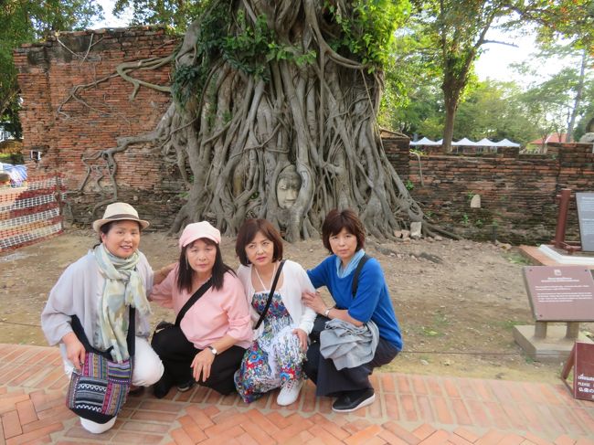 ざ・アユタヤ。タイに来たからには、一度は見てみたいですよね