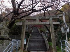 八幡浜市保内町川之石 の琴平公園・金刀比羅神社
階段すごいので下から眺めるだけになりました。
