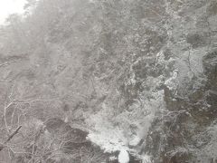 鳴子峡と言う有名な場所らしく、減速して鉄橋を渡ります。

私には普通の谷にしか見えませんが...