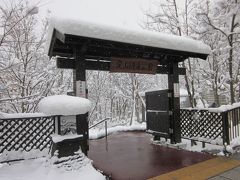 橋を渡った所の直ぐ左に「定山源泉公園」が在りました。

この公園は美泉定山の生誕２００年を記念して整備されました。

雪なので誰もいませんね…