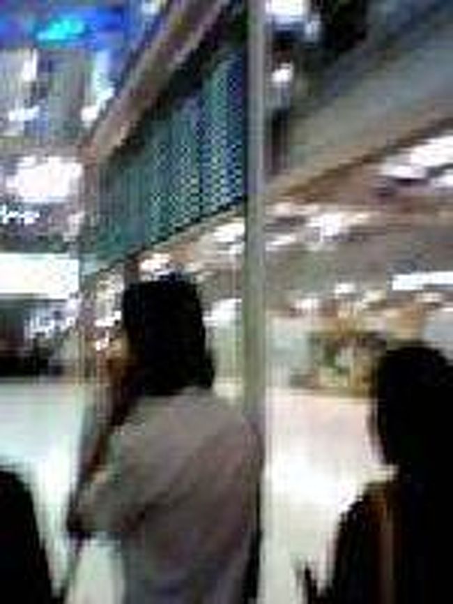 [２００７/３/１６]<br /><br />通関後、待合ホールへ。この建物は４階がチェックインと出国、３階が搭乗、２階が到着と入国になってます。