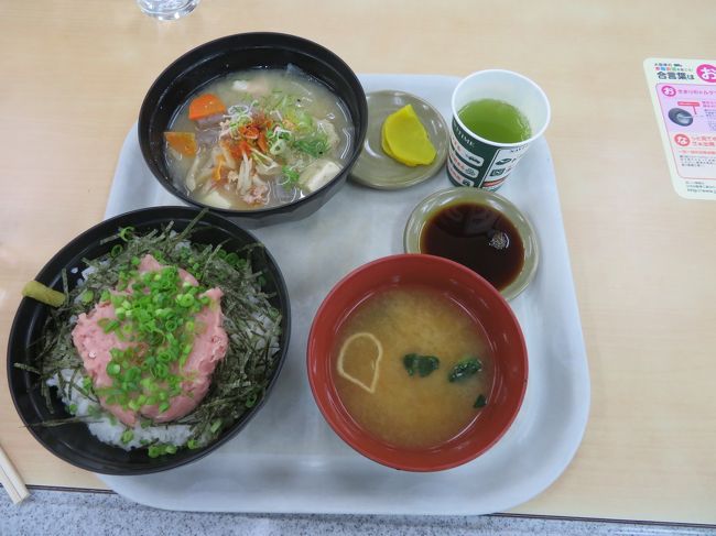 すごい食欲。私、これをペロッと完食してしまいました。太るはずだ…。次回の旅行を約束して、今回のタイ旅行は無事に終了、家に帰り着く事ができました。タイはアメリカみたいな厳格なチップの習慣も無く、食べ物も美味しい、物も安い！！！主婦には特に、本当にありがたい旅行先！！！飛行機がほぼ満状態というのも納得です。機会があったら、また是非行きたいと思いました