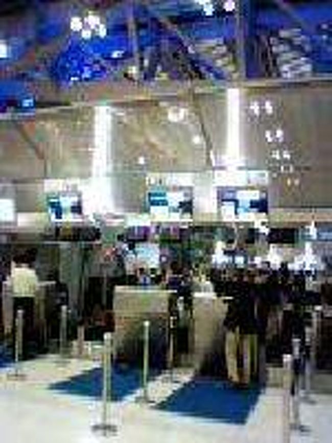 [２００７/３/１６]<br /><br />通常のチェックインカウンターです。いま手続きをしているのは、マダガスカル航空です。