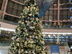 ・・・<おはようございます>・・・

おはようございます。

１１月某日・・・。

早朝、始発に乗ってやってきました「羽田空港」です。

第二の出発階にはクリスマスツリーも展示されています。

