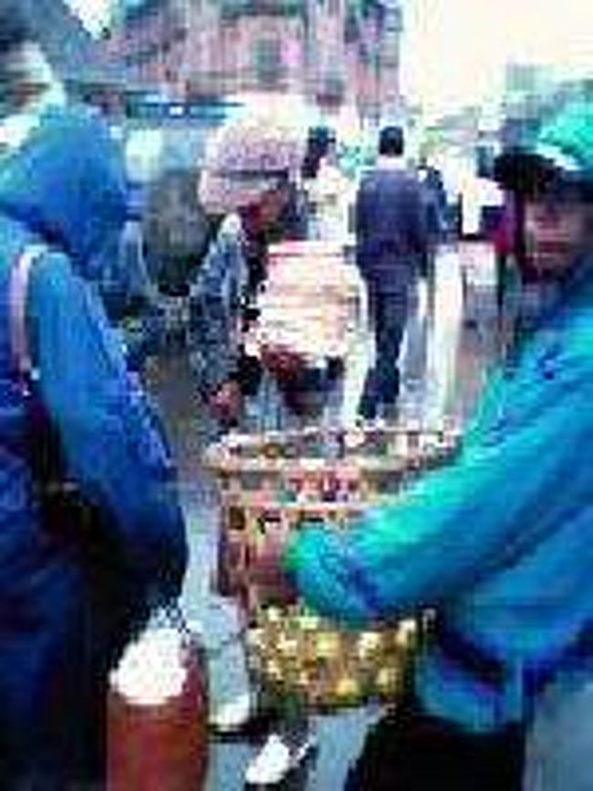 [２００７/３/１７]　(アナラケリーマーケット)<br /><br />マーケット前の道路で物を売っている行商みたいな人。